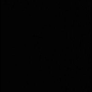 Meet your Posher, Abi